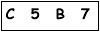salt-BE263B7B