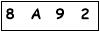 salt-54BCBE47