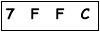 salt-690483FF