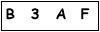 salt-BAFD204A